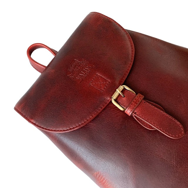 Mini リュック ブラックチェリー