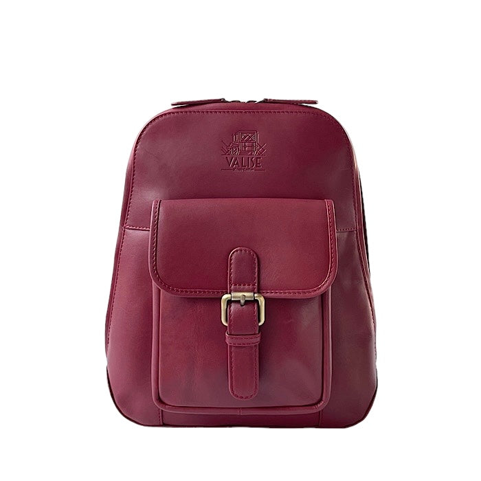 Small バックパック ブラックチェリー