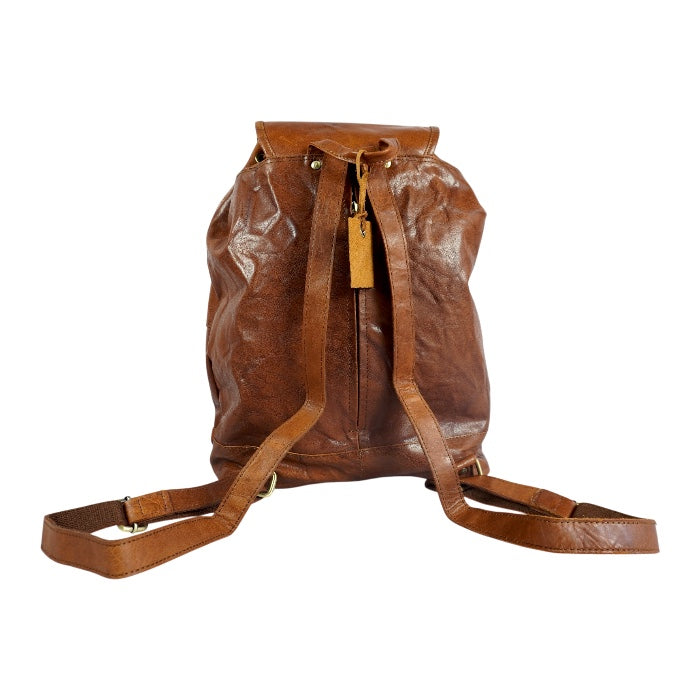 HARVEY Backpack Brown