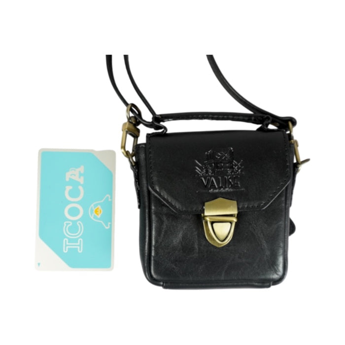 [Limited quantity] Mini Sienna Chocolate Brown